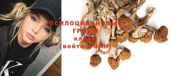 соль ск Слюдянка