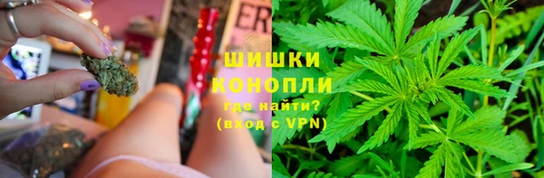 спайс Белокуриха