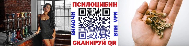 Псилоцибиновые грибы Cubensis Бородино